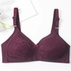 Women Underwear Plus Size Push Up Underwire Gather Ladies Bra Sexy Lace Bra